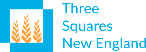 Three Squares New England Logo