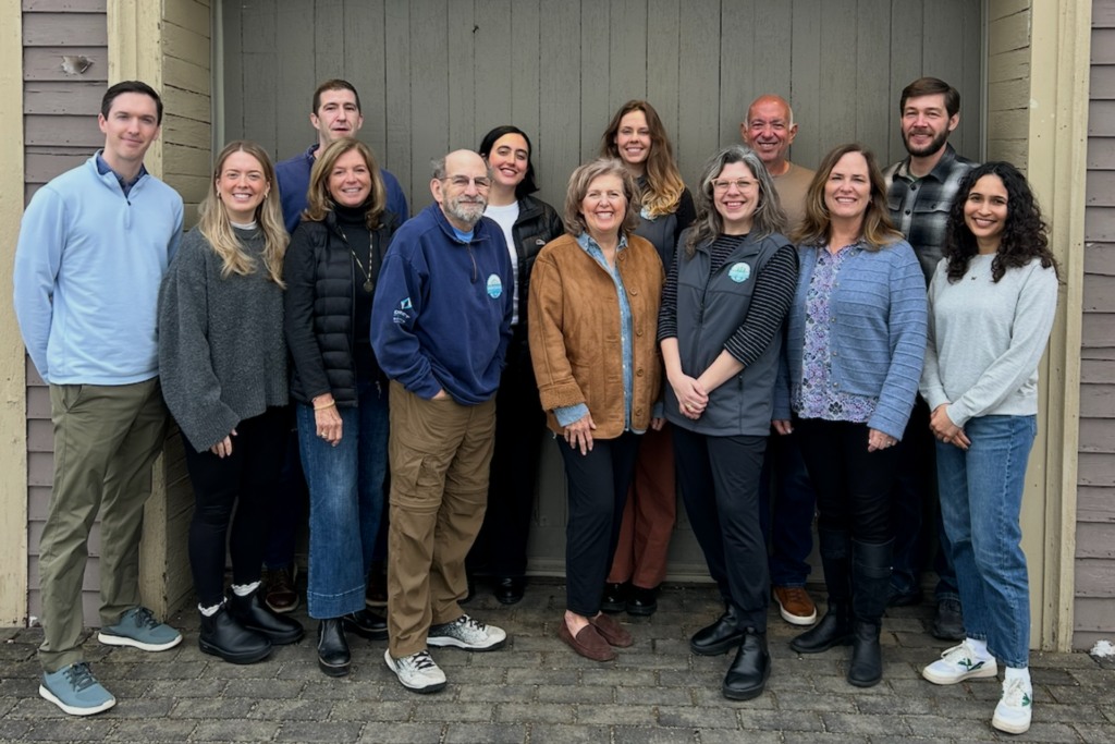 TSNE Board