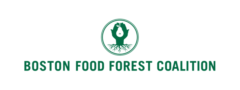 Boston Food Forest Coalition